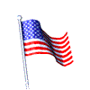 USAflag.gif (20197 bytes)