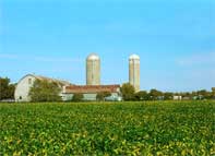 The lush fields surrounding the Grand Barn