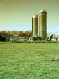 The Towering silo's at TGB