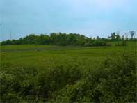 Fresh air and freedom for far as the eye can see