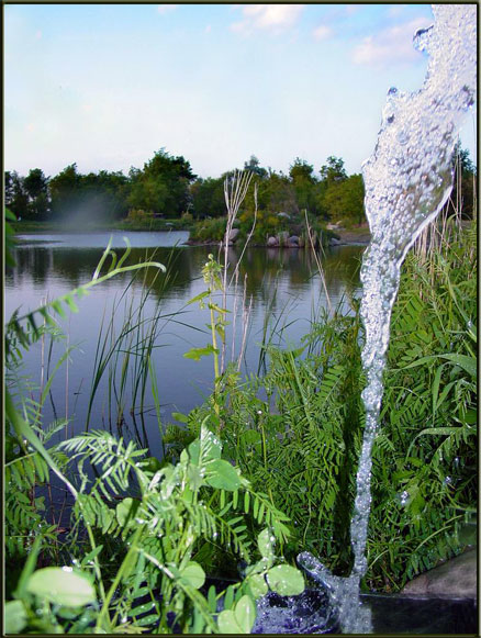 View of desire lake at TGB, looking east