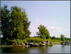 Desire lake