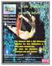 The Affiliate Magazine